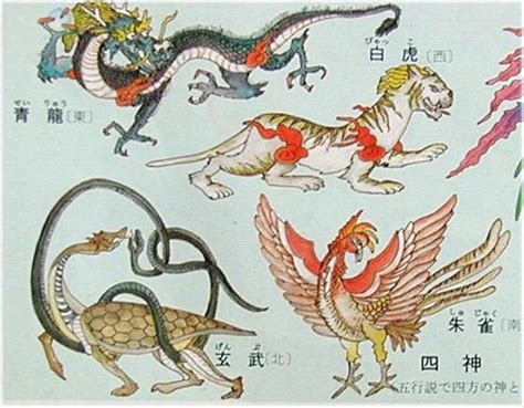 青龍朱雀玄武百虎|四神:簡介,起源,體系,傳說,青龍,白虎,朱雀,玄武,影響,用。